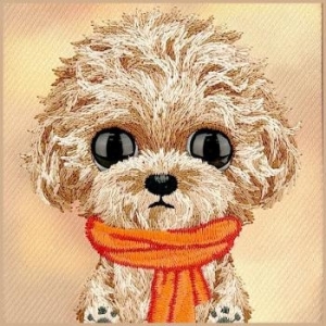 Markowy Hard Case Nimmy Big Eyed Teddy Poodle Apple iPhone 18 Pro / 17 Pro Brązowy - 208074